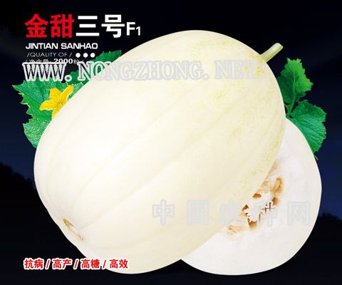 金甜三号